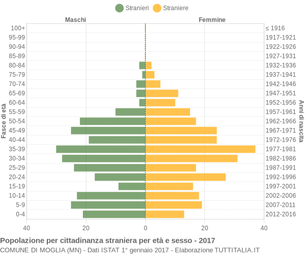 Grafico cittadini stranieri - Moglia 2017