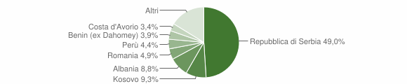 Grafico cittadinanza stranieri - Pasturo 2010