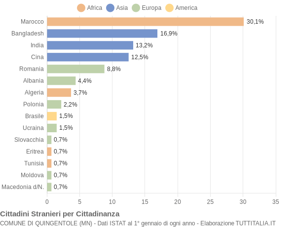 Grafico cittadinanza stranieri - Quingentole 2008