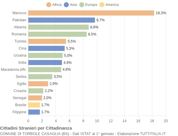 Grafico cittadinanza stranieri - Torbole Casaglia 2010