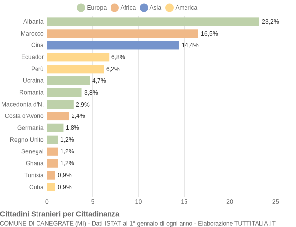 Grafico cittadinanza stranieri - Canegrate 2005