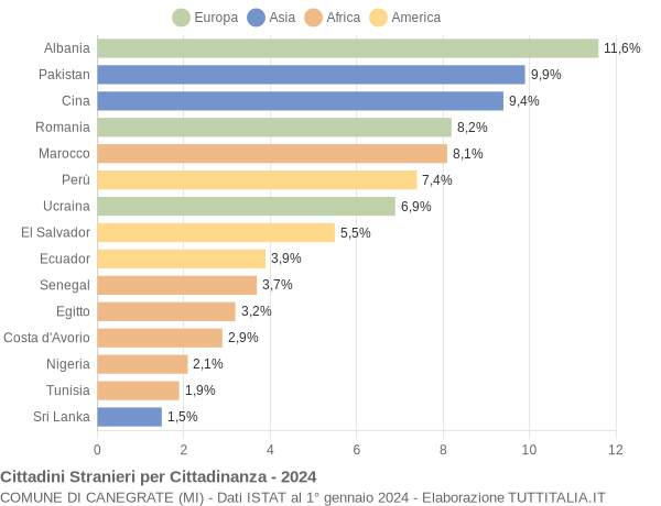 Grafico cittadinanza stranieri - Canegrate 2024