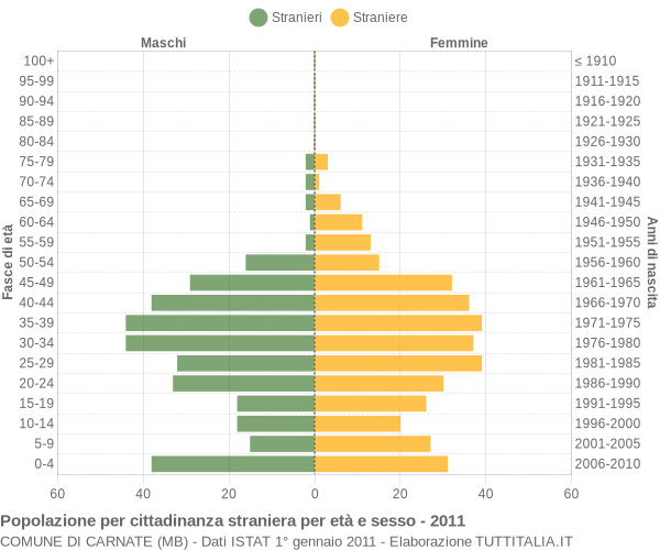 Grafico cittadini stranieri - Carnate 2011