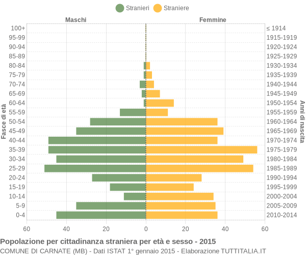 Grafico cittadini stranieri - Carnate 2015