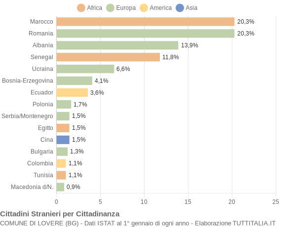 Grafico cittadinanza stranieri - Lovere 2008