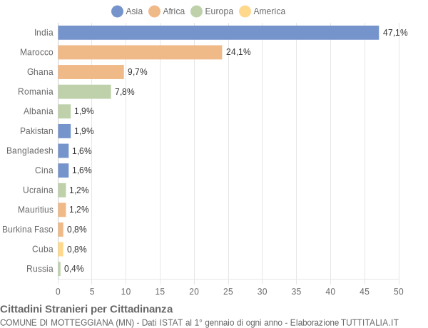 Grafico cittadinanza stranieri - Motteggiana 2005