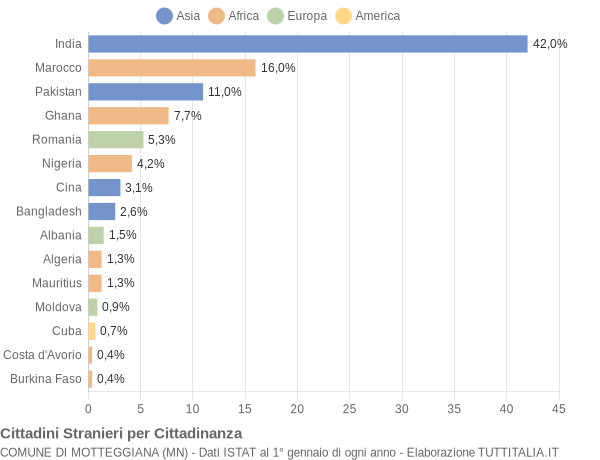 Grafico cittadinanza stranieri - Motteggiana 2010