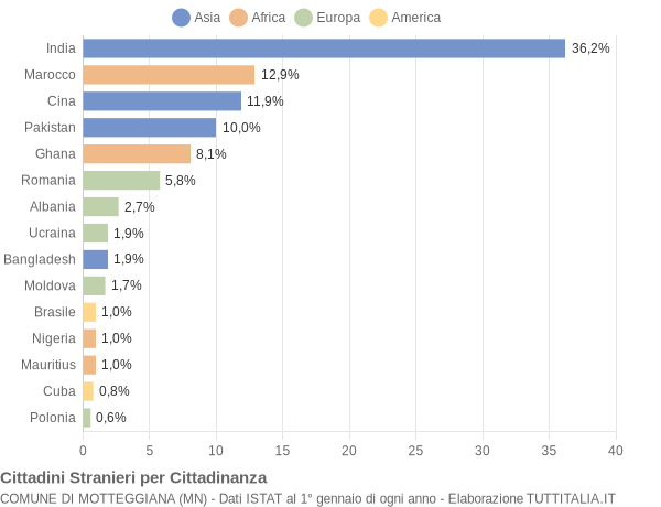 Grafico cittadinanza stranieri - Motteggiana 2015