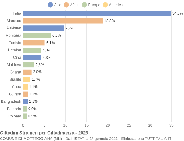 Grafico cittadinanza stranieri - Motteggiana 2023