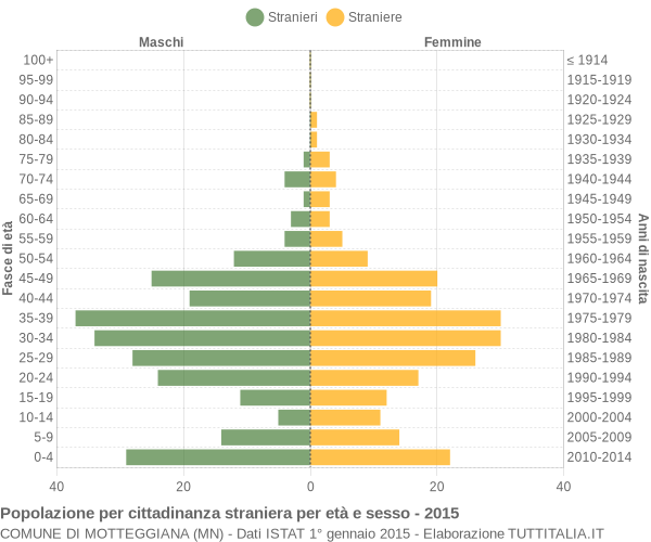 Grafico cittadini stranieri - Motteggiana 2015