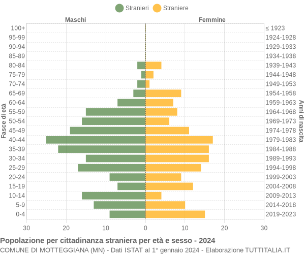 Grafico cittadini stranieri - Motteggiana 2024