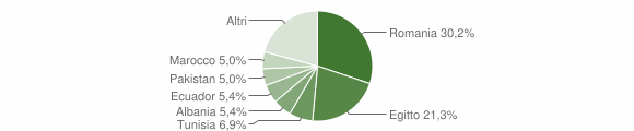 Grafico cittadinanza stranieri - Bascapè 2015