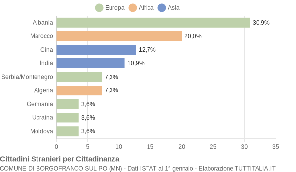 Grafico cittadinanza stranieri - Borgofranco sul Po 2005