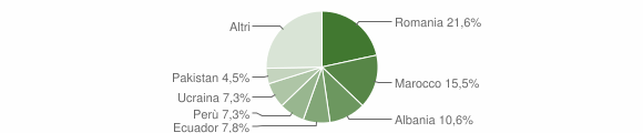 Grafico cittadinanza stranieri - Casorezzo 2013