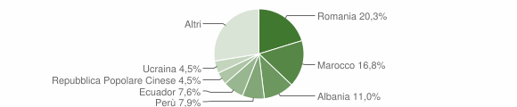 Grafico cittadinanza stranieri - Casorezzo 2015