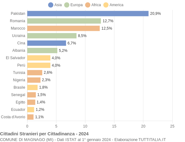 Grafico cittadinanza stranieri - Magnago 2024