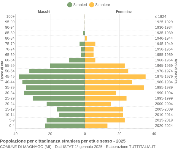 Grafico cittadini stranieri - Magnago 2025