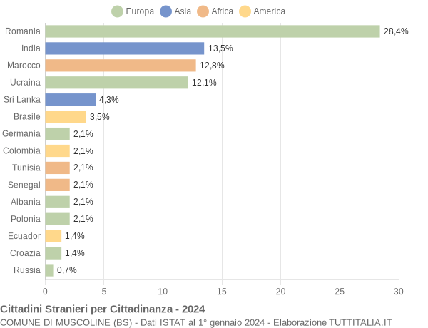 Grafico cittadinanza stranieri - Muscoline 2024