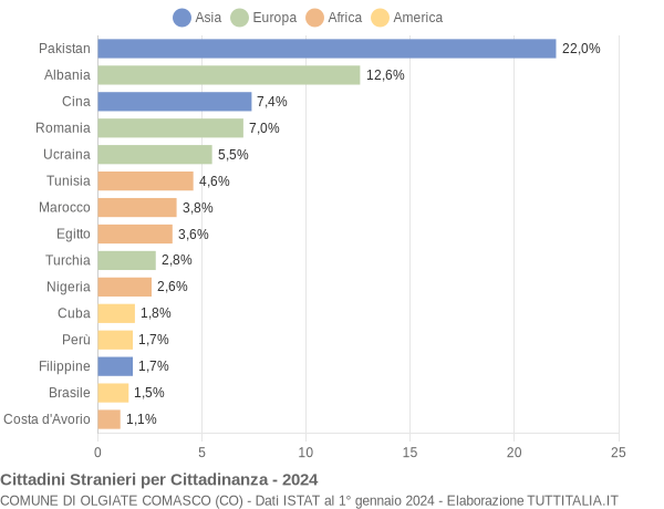 Grafico cittadinanza stranieri - Olgiate Comasco 2024