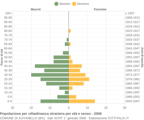 Grafico cittadini stranieri - Alfianello 2008