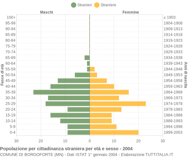 Grafico cittadini stranieri - Borgoforte 2004