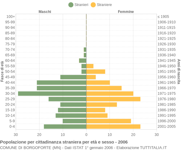 Grafico cittadini stranieri - Borgoforte 2006