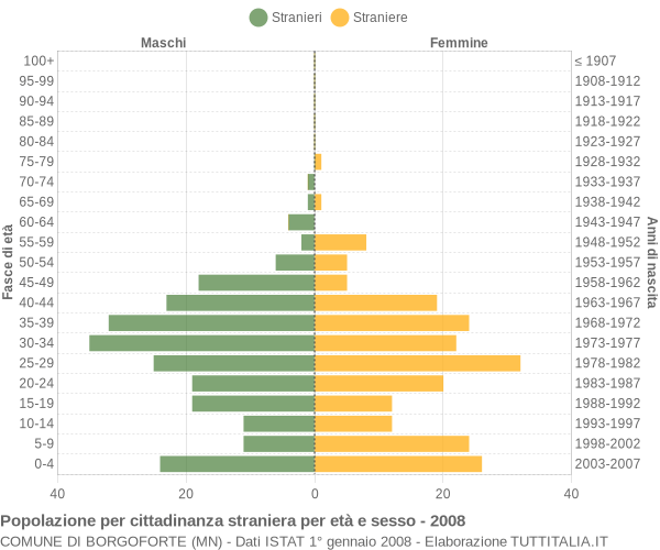 Grafico cittadini stranieri - Borgoforte 2008