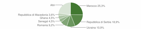 Grafico cittadinanza stranieri - Clusone 2009