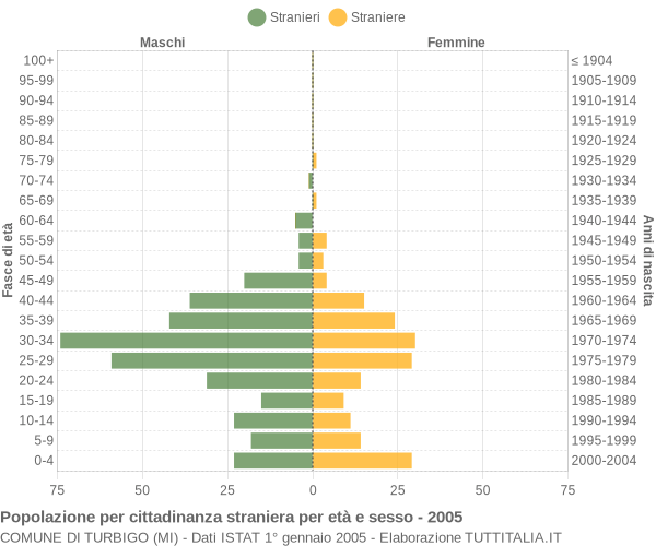 Grafico cittadini stranieri - Turbigo 2005