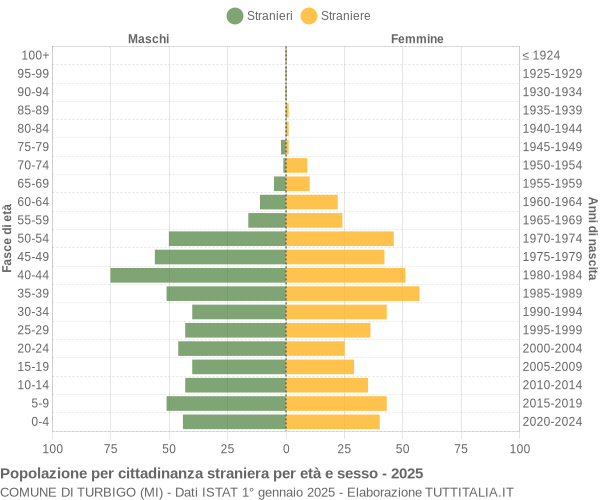 Grafico cittadini stranieri - Turbigo 2025