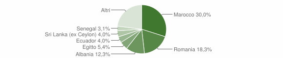 Grafico cittadinanza stranieri - Bellusco 2011