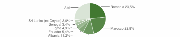 Grafico cittadinanza stranieri - Bellusco 2014
