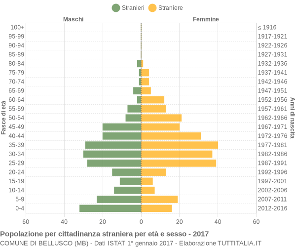 Grafico cittadini stranieri - Bellusco 2017