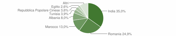 Grafico cittadinanza stranieri - Casalbuttano ed Uniti 2008