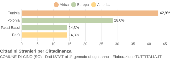 Grafico cittadinanza stranieri - Cino 2017