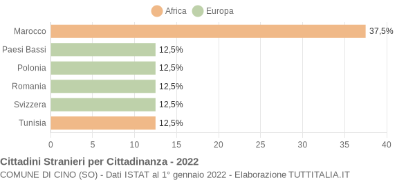 Grafico cittadinanza stranieri - Cino 2022