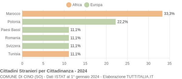 Grafico cittadinanza stranieri - Cino 2024