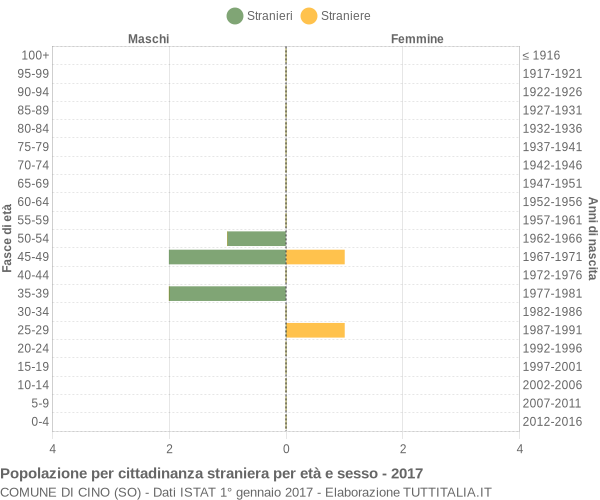 Grafico cittadini stranieri - Cino 2017