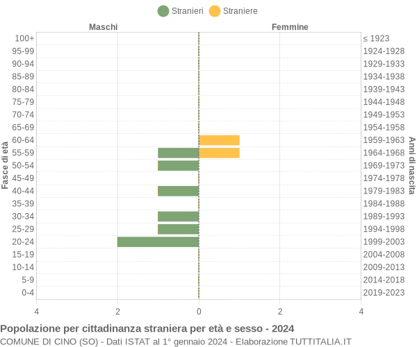 Grafico cittadini stranieri - Cino 2024