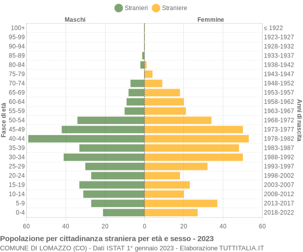 Grafico cittadini stranieri - Lomazzo 2023