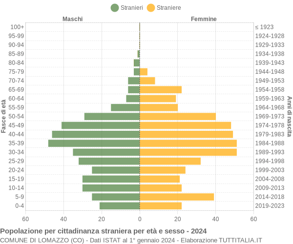 Grafico cittadini stranieri - Lomazzo 2024