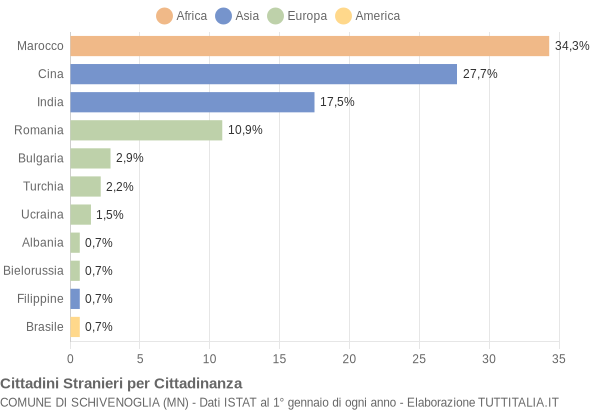 Grafico cittadinanza stranieri - Schivenoglia 2008
