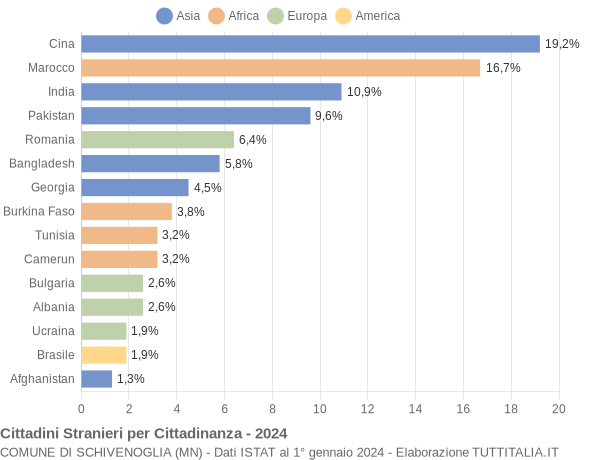 Grafico cittadinanza stranieri - Schivenoglia 2024