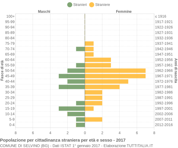 Grafico cittadini stranieri - Selvino 2017