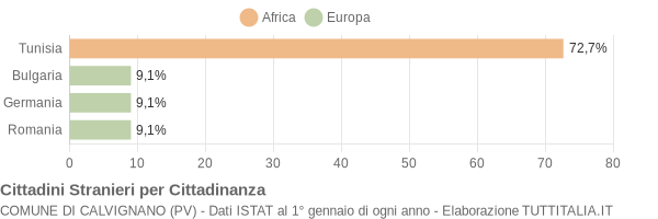 Grafico cittadinanza stranieri - Calvignano 2004