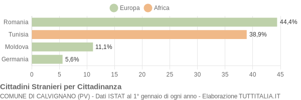 Grafico cittadinanza stranieri - Calvignano 2011