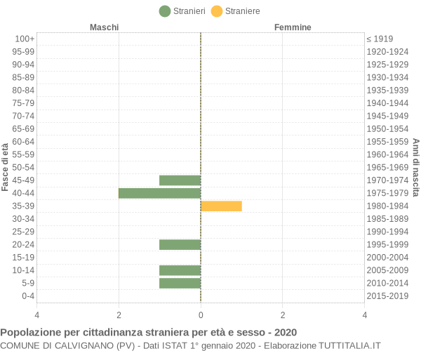 Grafico cittadini stranieri - Calvignano 2020