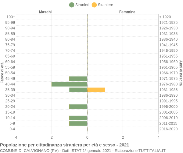 Grafico cittadini stranieri - Calvignano 2021