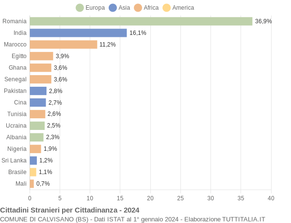 Grafico cittadinanza stranieri - Calvisano 2024