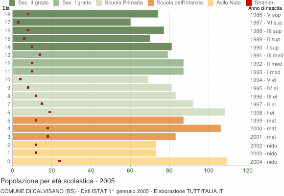 Grafico Popolazione in età scolastica - Calvisano 2005